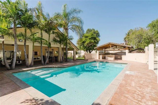 Private swimming pool with palm trees, covered patio and outdoor barbecue area