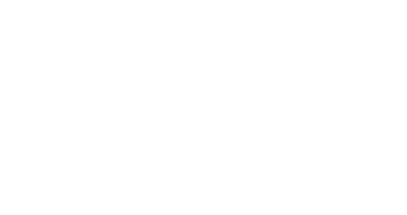 Alla Novytska logo: an A and N monogram inside a house outline